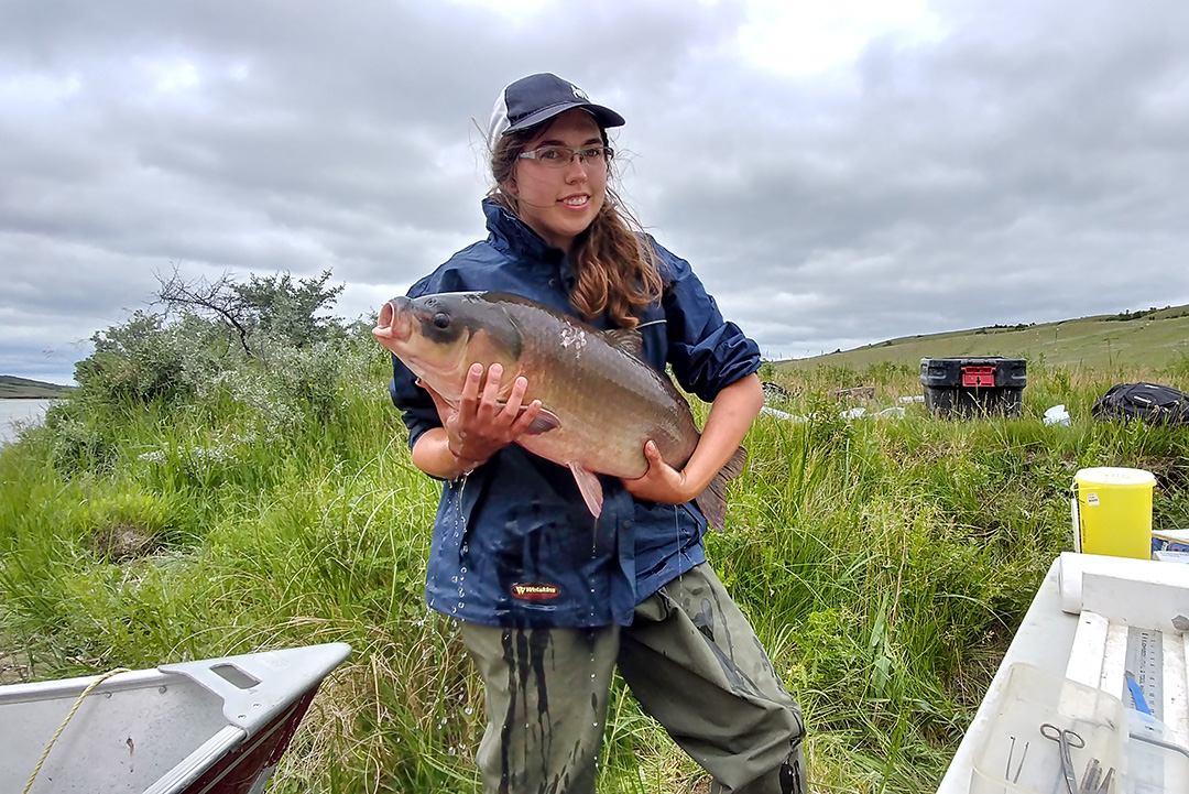 Summer research student Gabrielle Achtymichuk holds a bigmouth buffalo fish. Submitted photo.